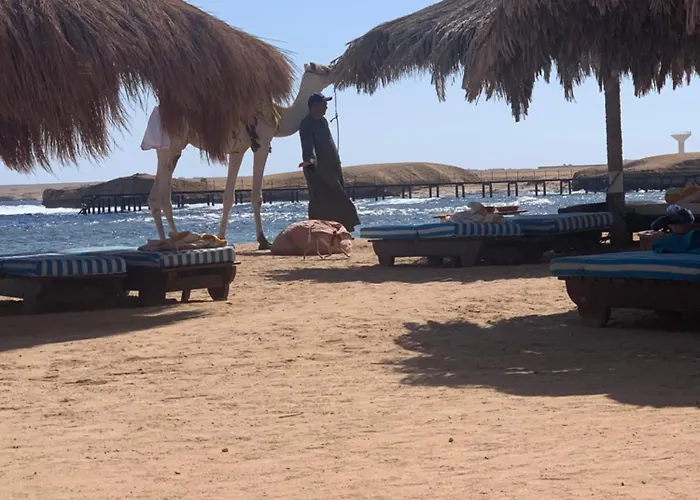 شقة 3-bed Sleeps 6 With Sea View & Free Parking